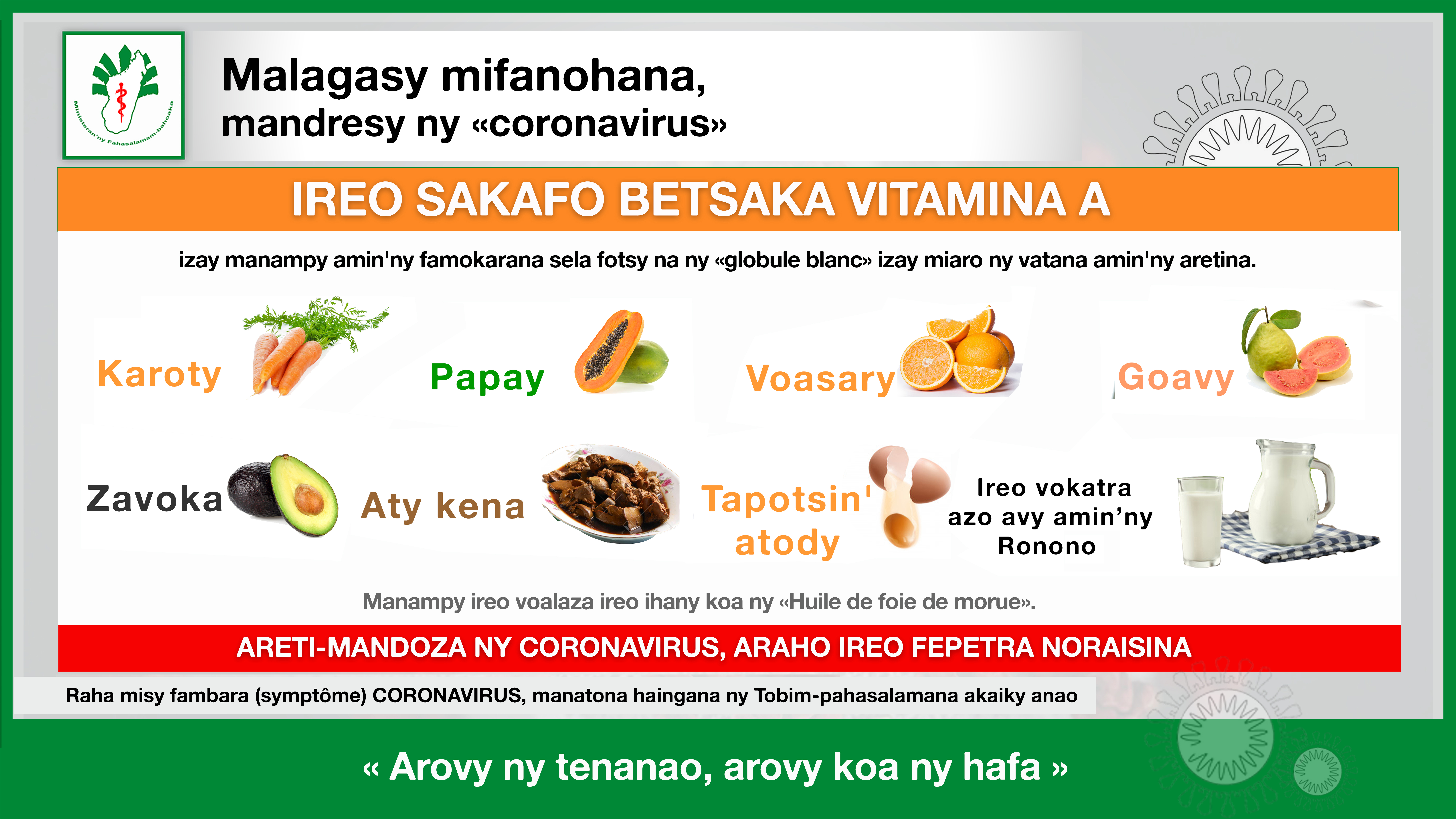 Ireo sakafo betsaka Vitamina A izay manampy amin’ny famokarana sela fotsy (Globule blanc) izay miaro ny vatana amin’ny aretina