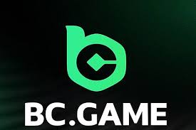 Exploring the Benefits of BC.Game A Comprehensive Overview