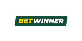 BetWinner Login Process A Complete Guide