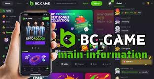 The Ultimate Guide to the BC.Game Mobile App
